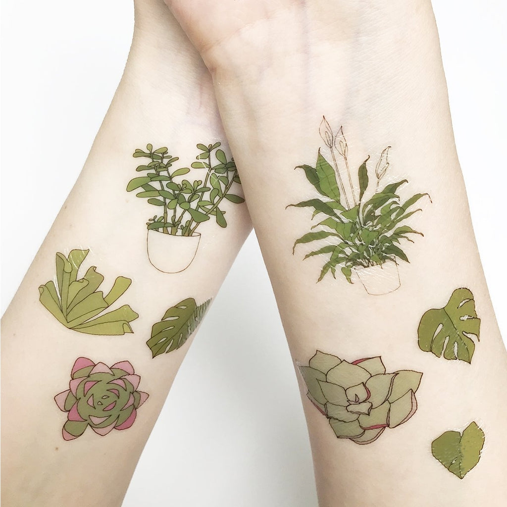 house plant tattoo Houseplant Temporary Tattoos